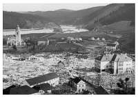 ŠTĚCHOVICE / dřenice 1940