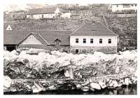 ŠTĚCHOVICE / dřenice 1940