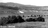 SRDCE VLTAVY