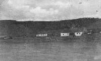 UPANOVICE