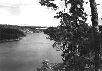 ZVKOV